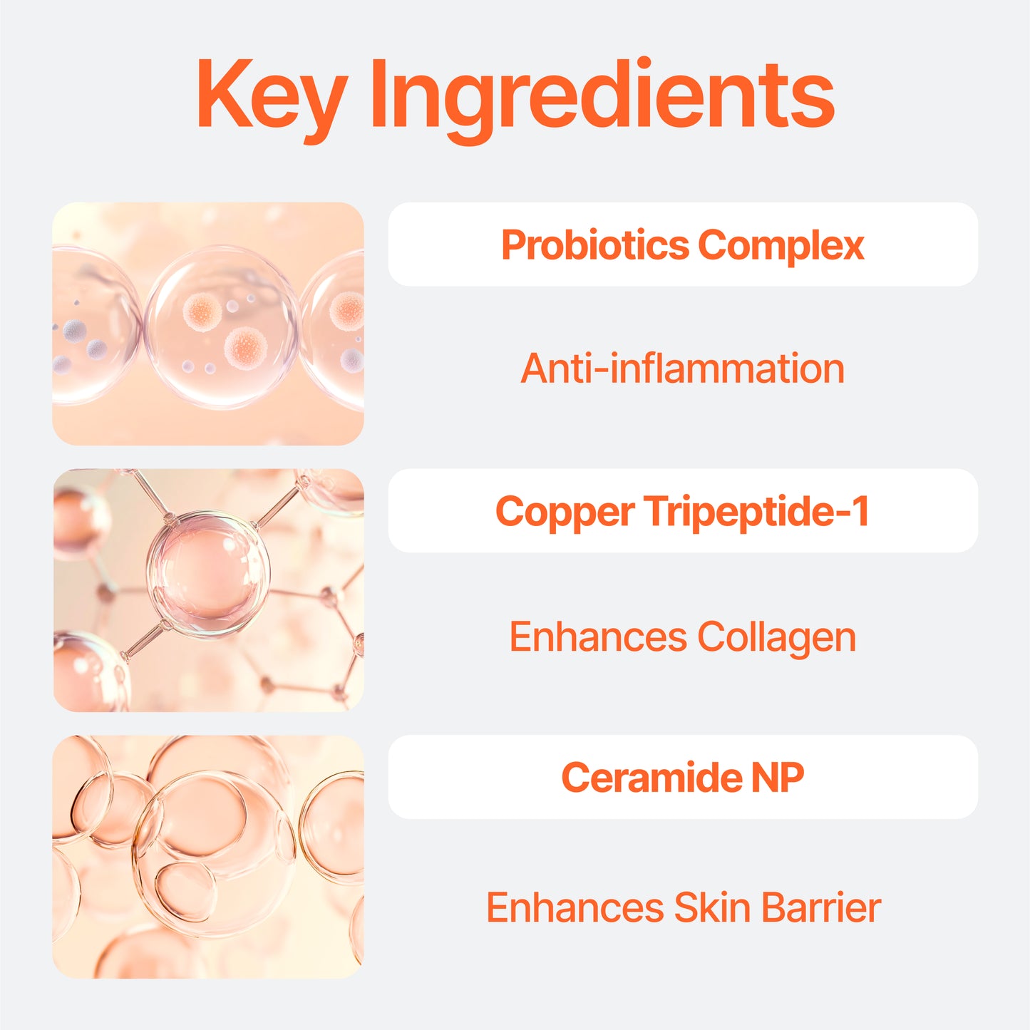 CU Dr. Solution Bifida Ampoule