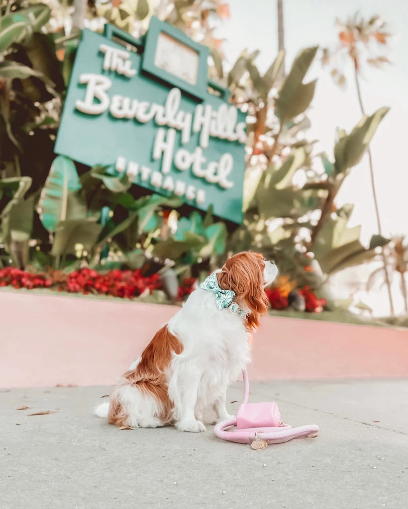 Doggie Republic Bow Tie - Fiji
