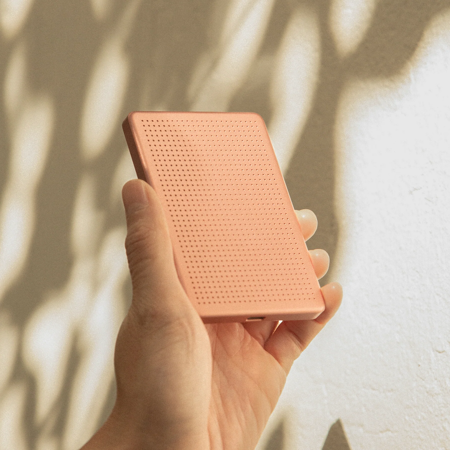 | Apricot