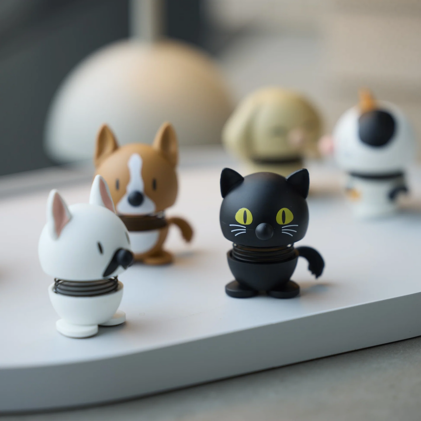 Hoptimist Black Cat