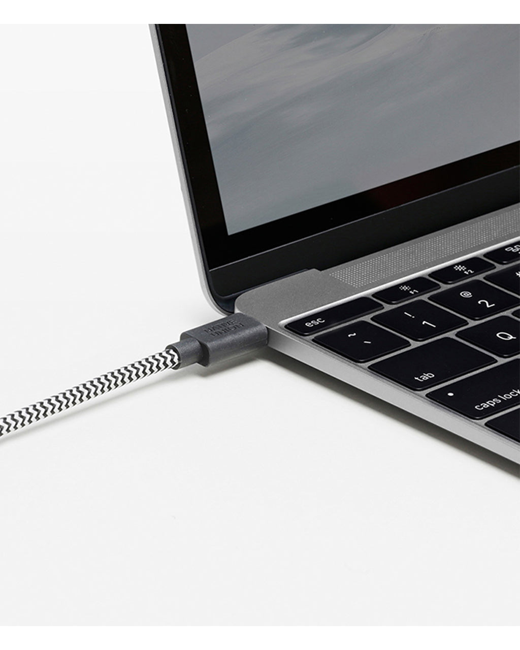 Native Union Belt Cable USB-C to USB-C (8ft)