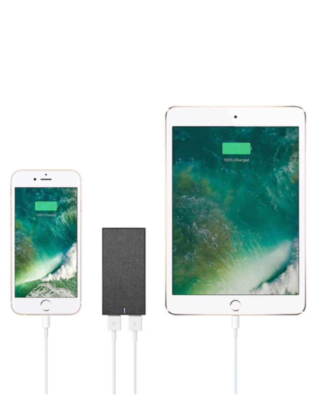 Native Union Smart Charger International