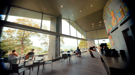 A Day on Naoshima: Where Art Meets Sea and Silence