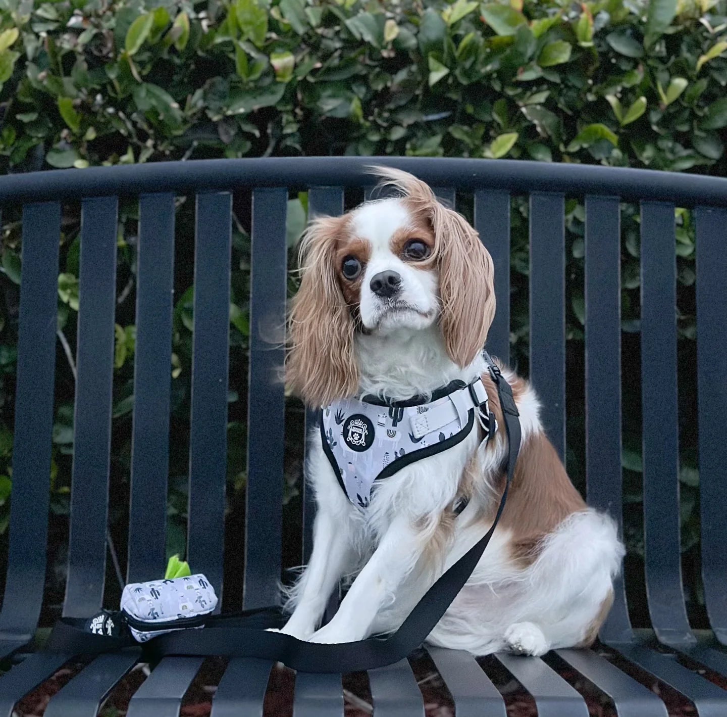Doggie Republic Sport Waste Bag Holder