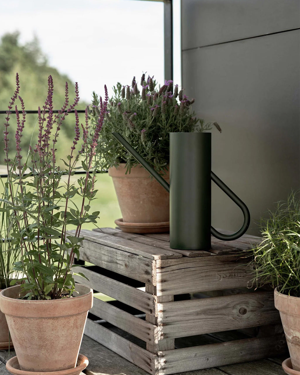 Stelton Bloom Watering Can