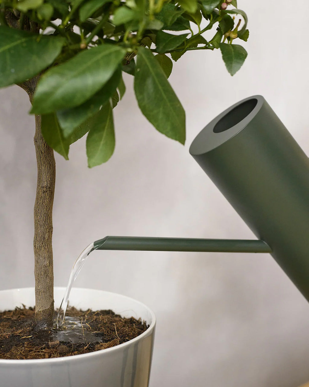 Stelton Bloom Watering Can