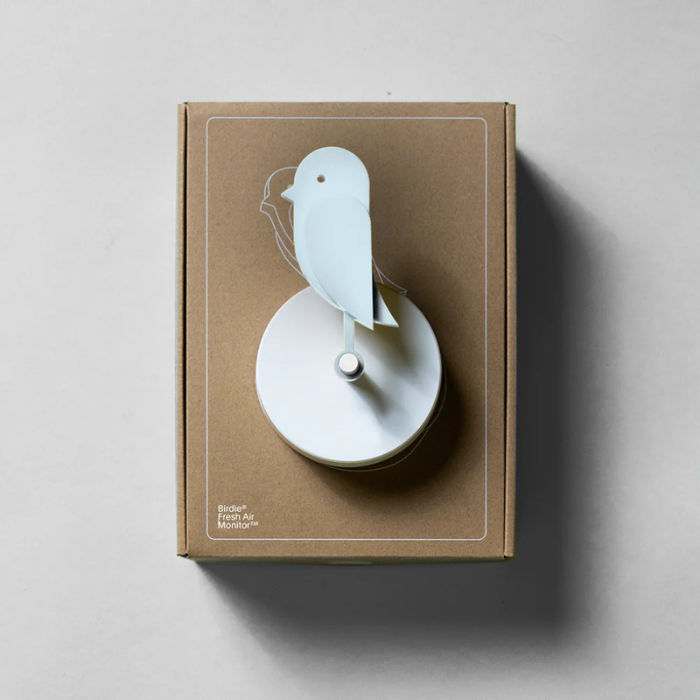Birdie® 2.0, Glacier