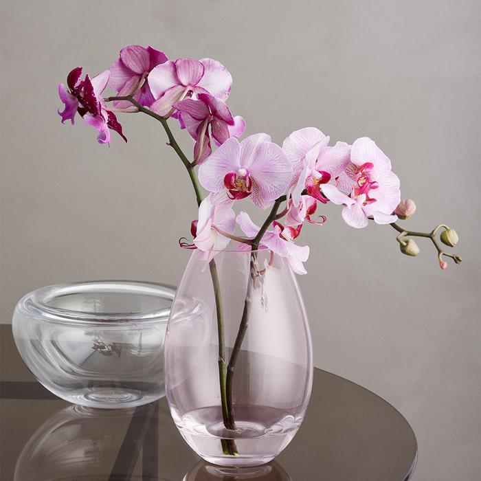 Holmegaard Provence Bowl, Clear
