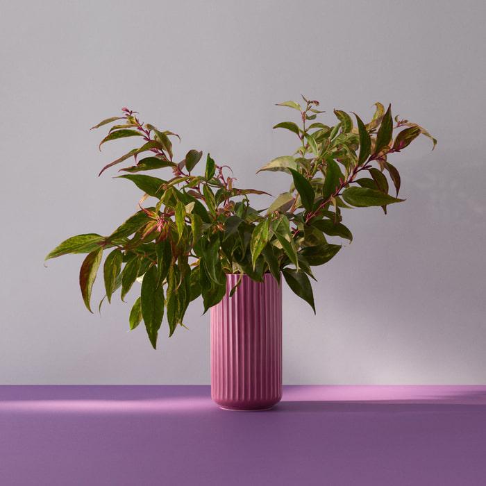 Lyngby Porcelæn Vase, Purple, H: 8.1"