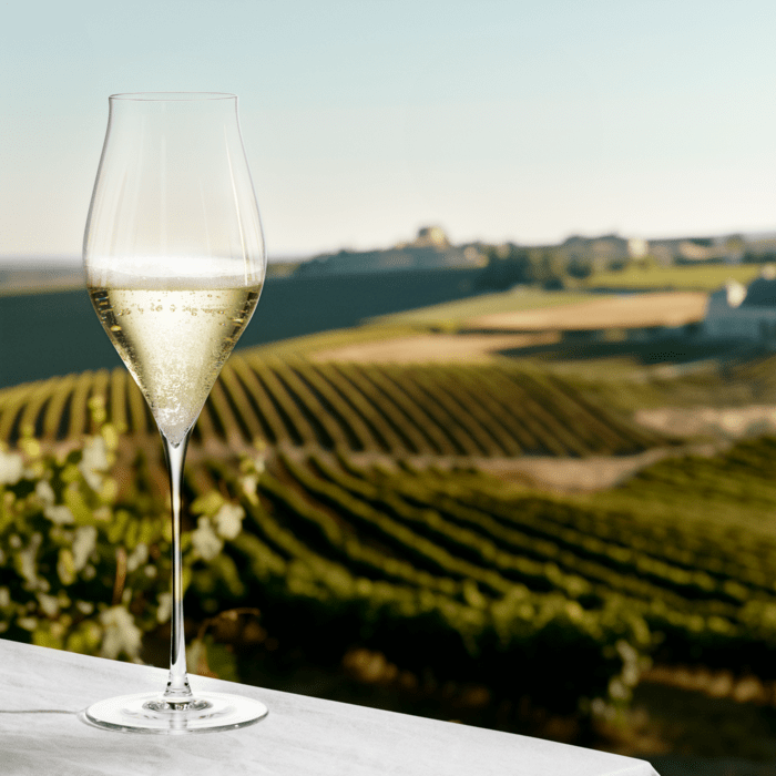 Holmegaard Notes Champagne Glass, Clear, 12.8 Oz, 2 Pcs.
