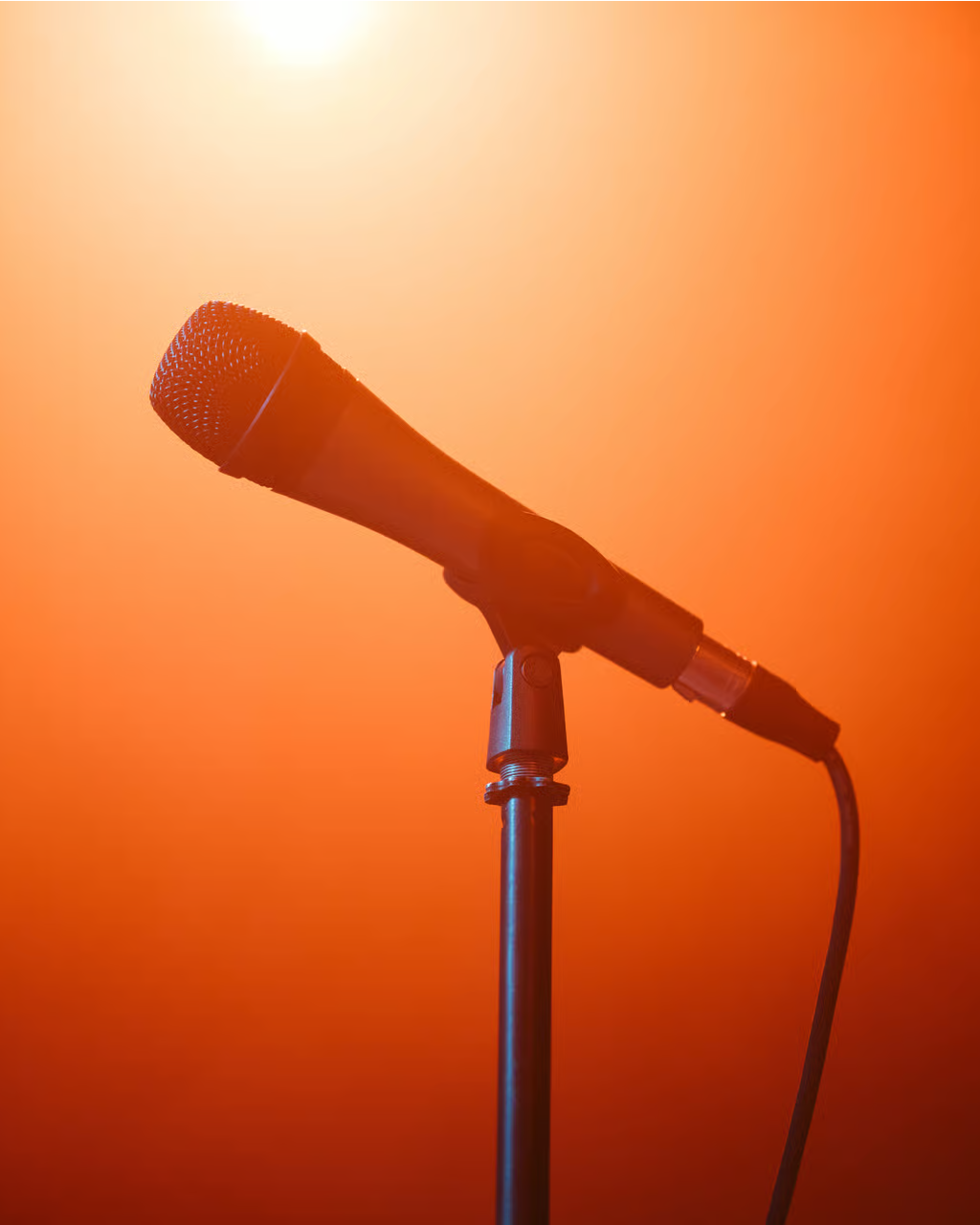 Sennheiser Professional e835 S