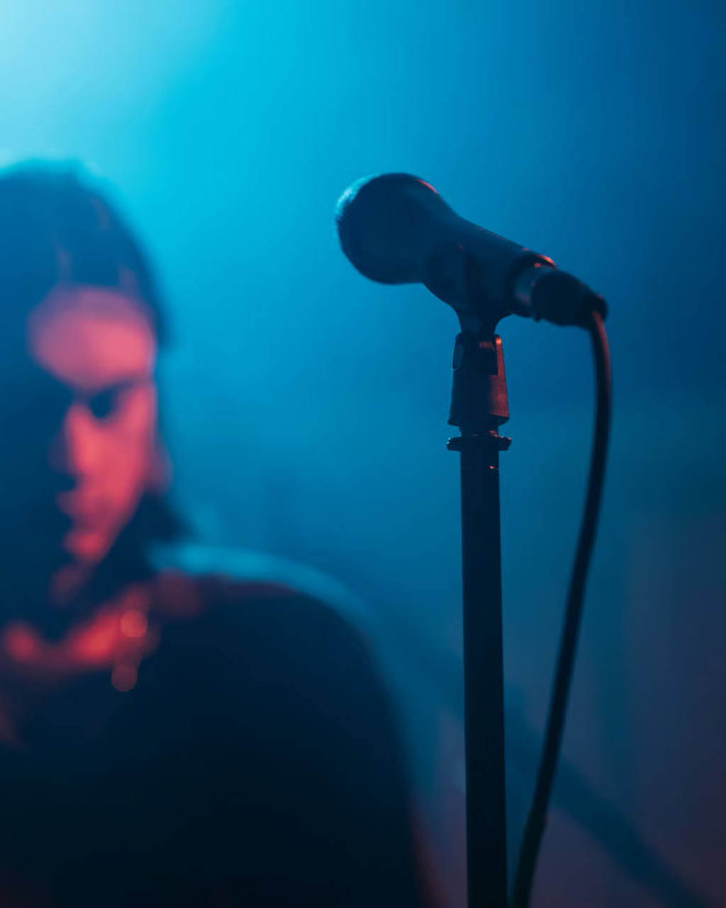 Sennheiser Professional e835 S