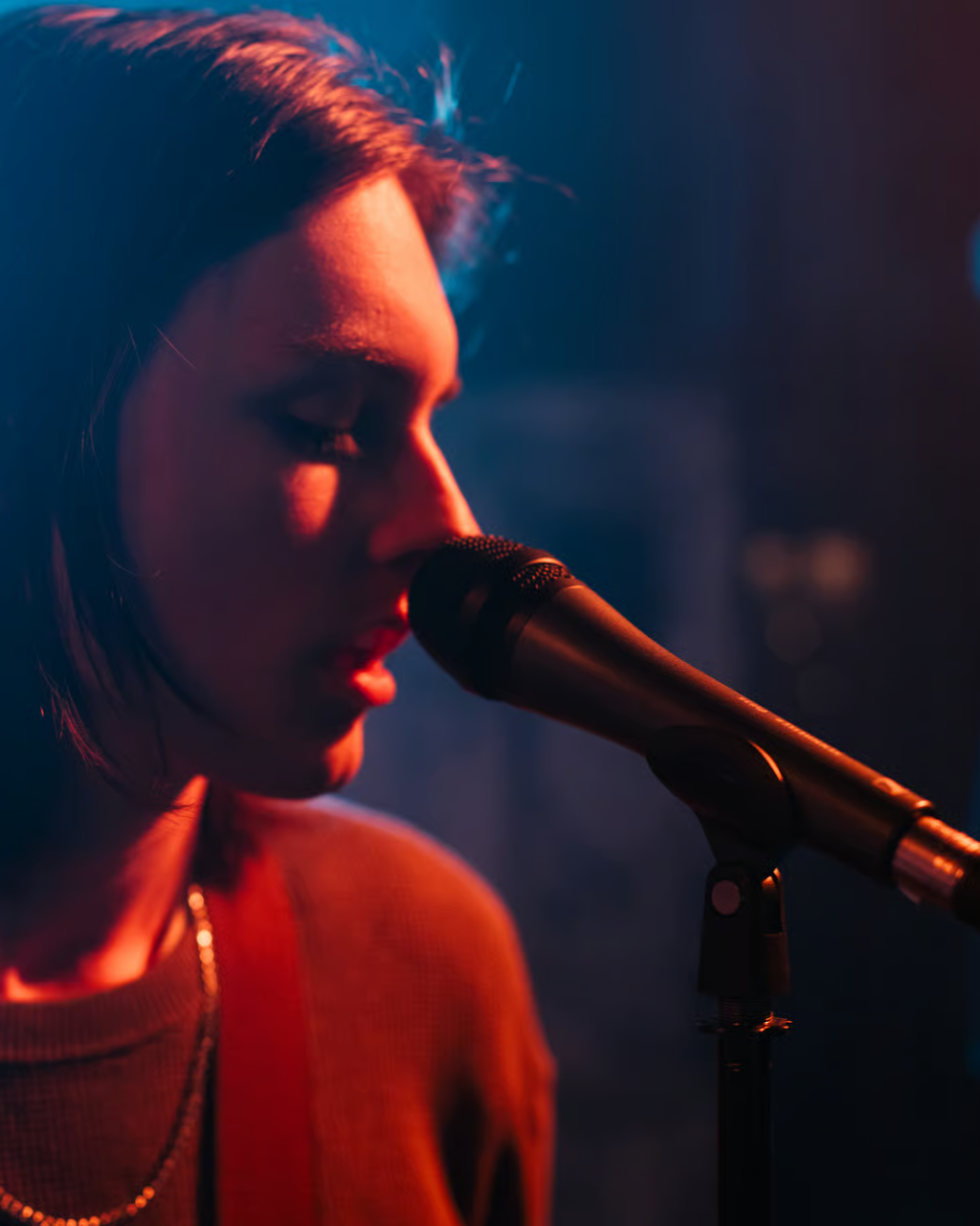 Sennheiser Professional e835 S