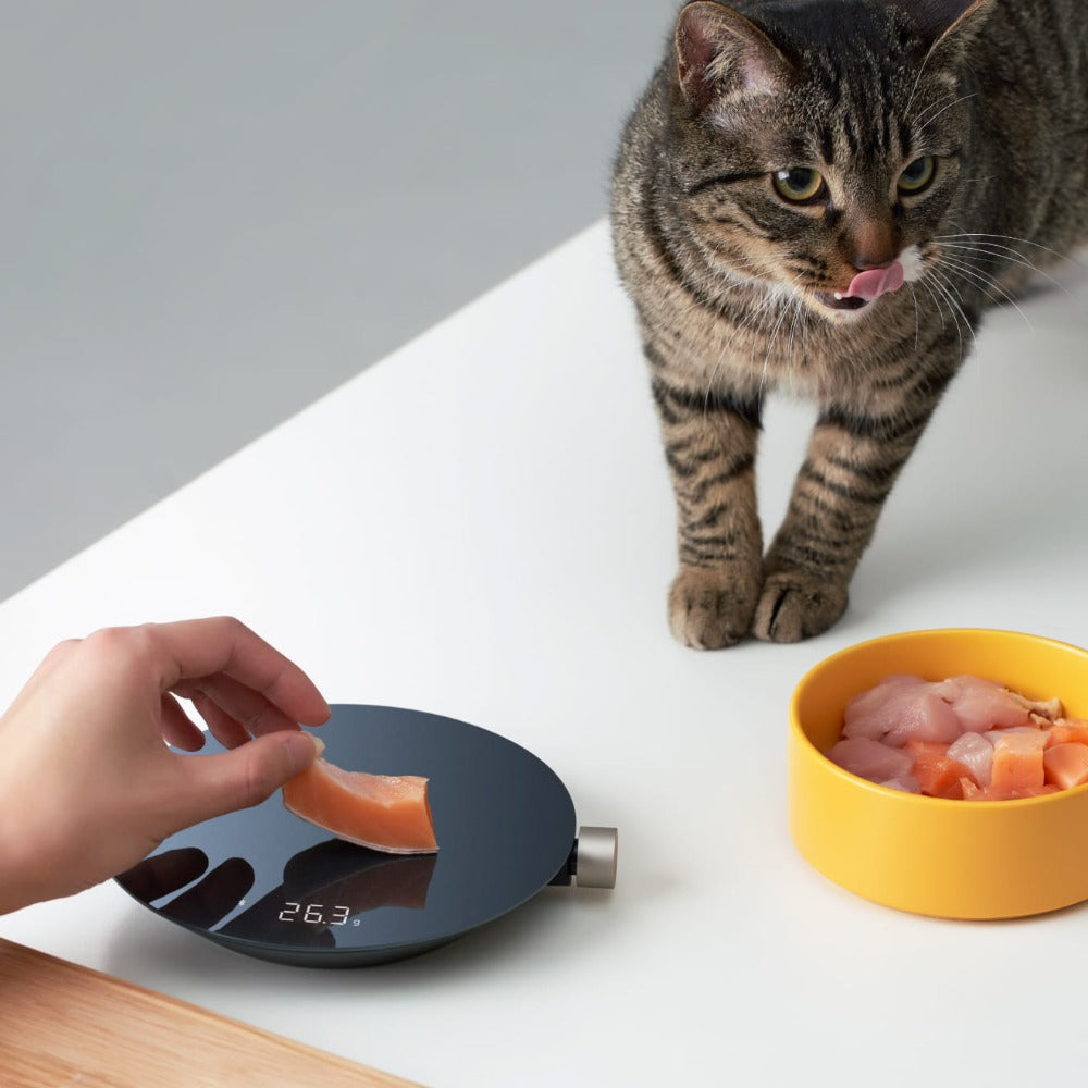 Cat standing next to a bowl of food with a digital scale measuring the weight of a piece of salmon. HOTO Smart Kitchen Scale
