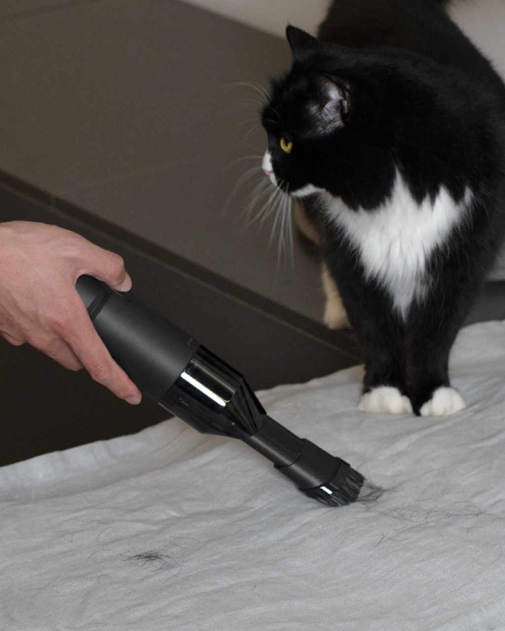 HOTO Compressed Air Capsule with Pet