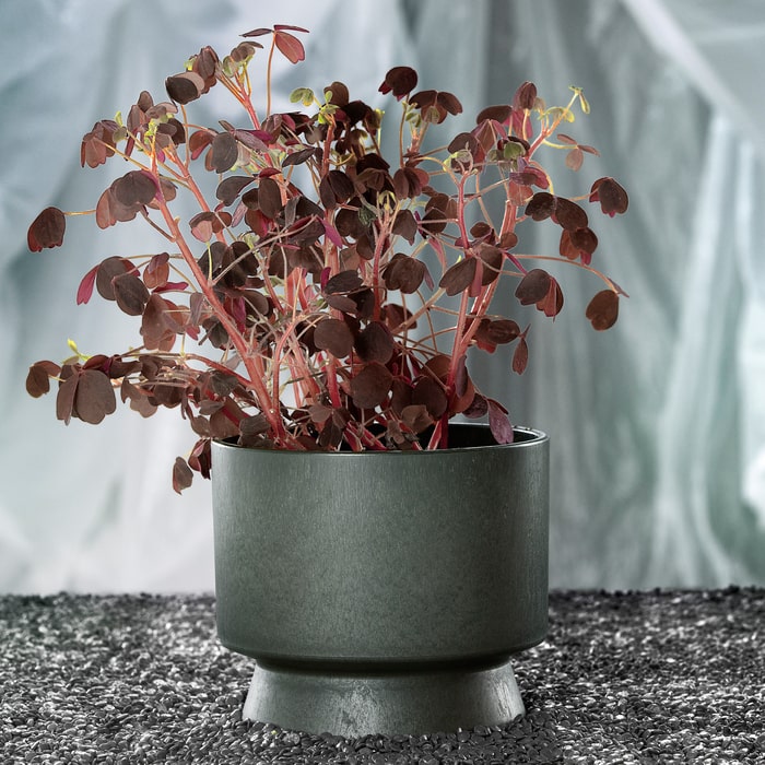 Rosendahl Recycled Flower Pot, Green