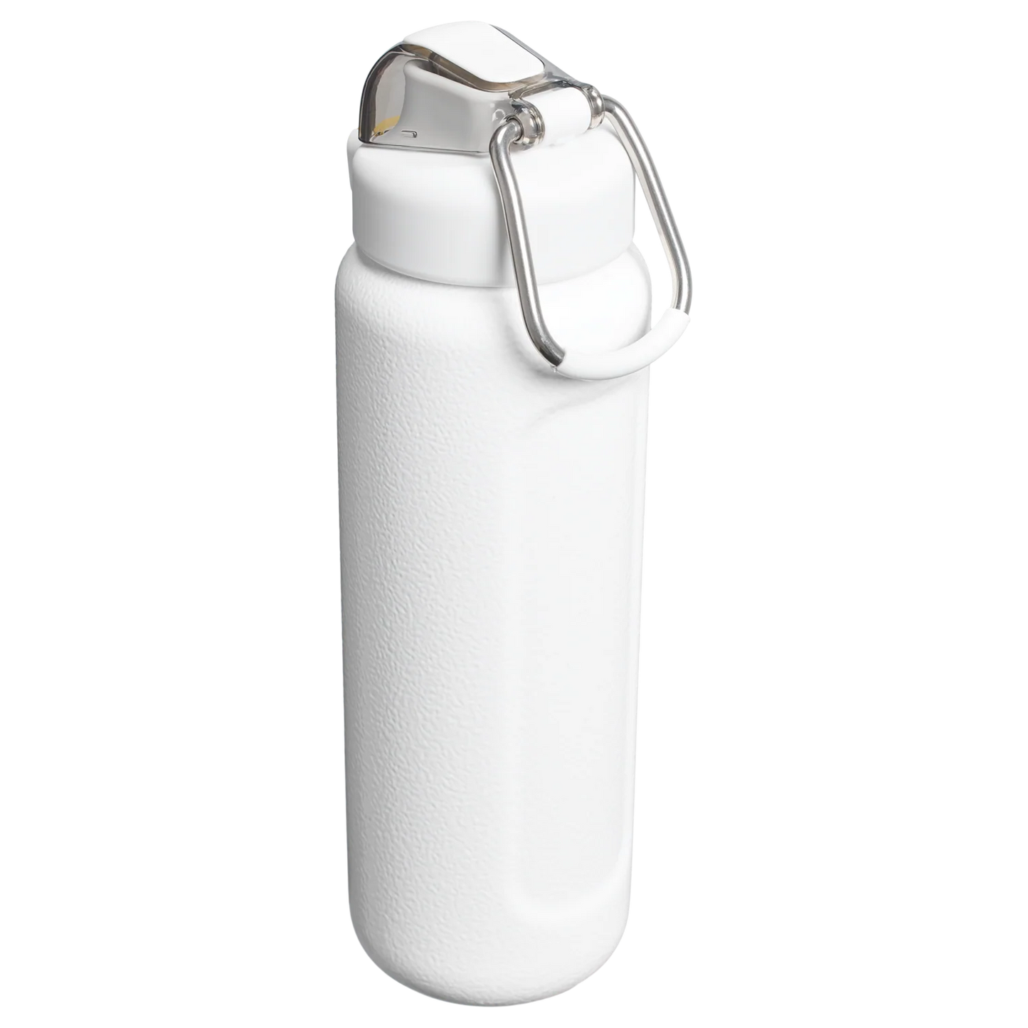 STANLEY The Wellspring Bottle 24 OZ | Hammertone Frost