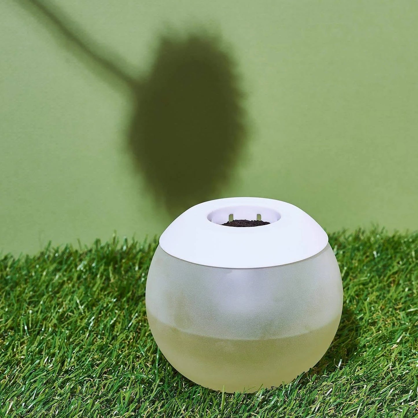 W&P The Hydropod Basil Plant Seed