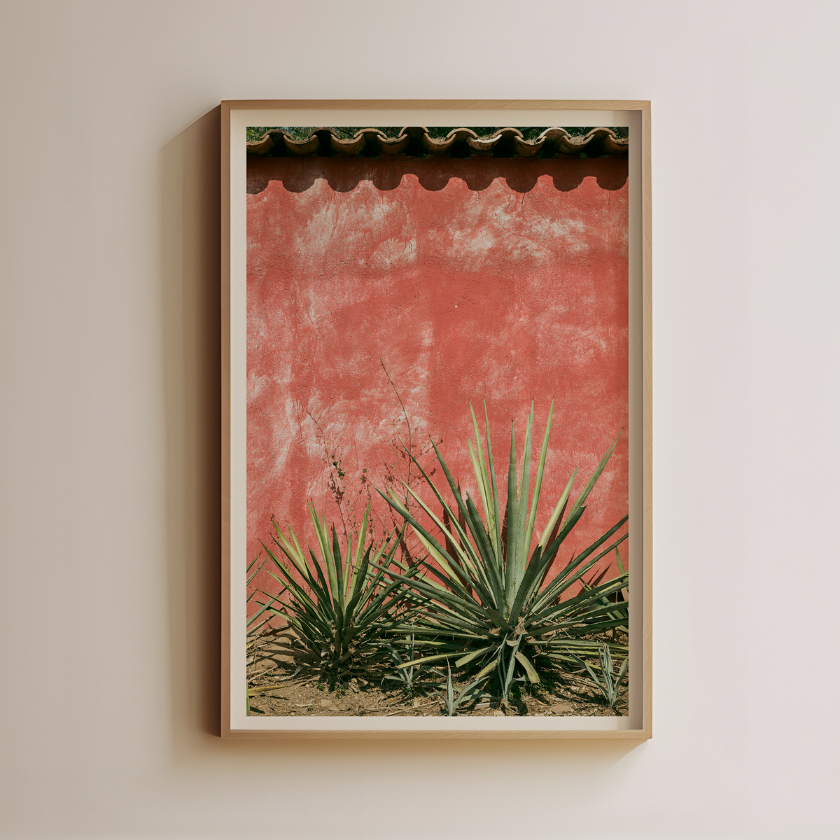 Agave Against Red Wall by Luis Martinez