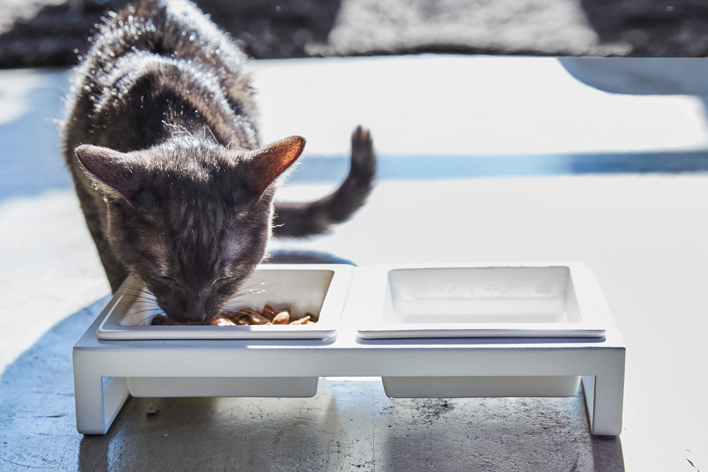 Yamazaki Home Pet Food Bowl