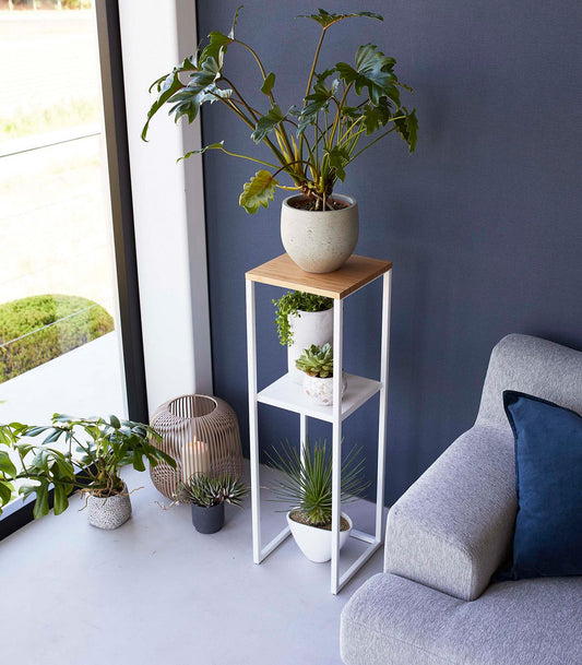 Yamazaki Home Tower Two-Tier Display & Storage Shelf (31.5-inch H) - Steel + Wood, white shelf with bamboo top displaying plants