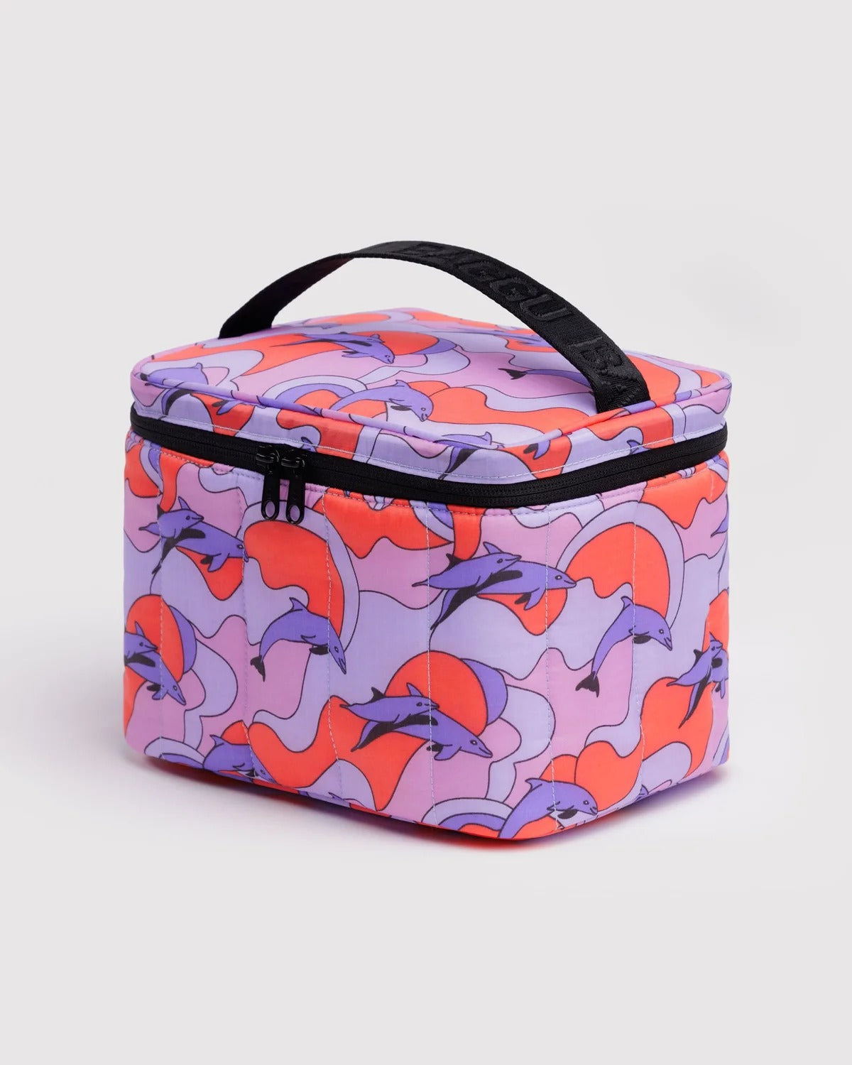 | Dolphins