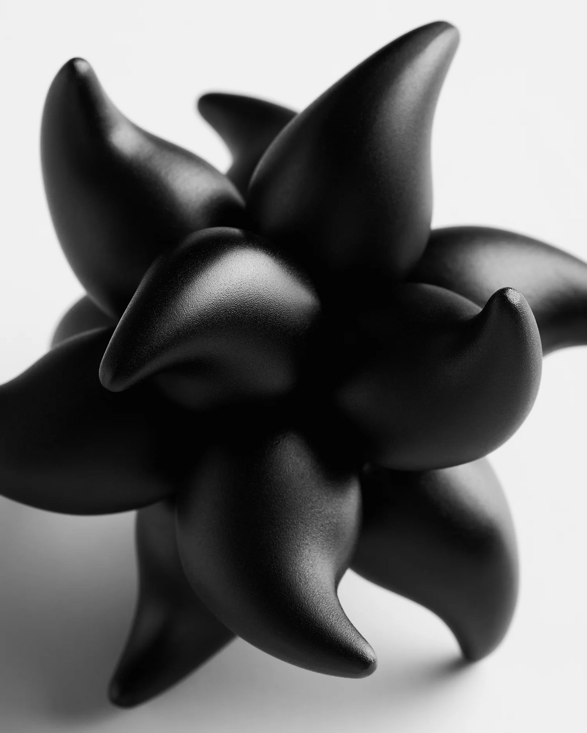 Craighill Andromeda Puzzle