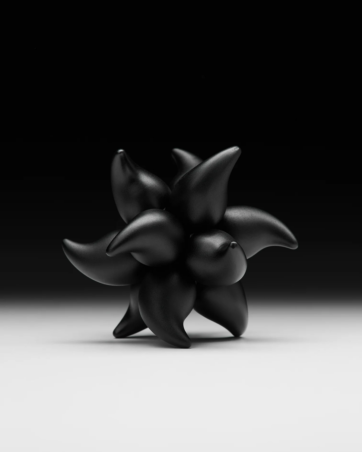 Craighill Andromeda Puzzle