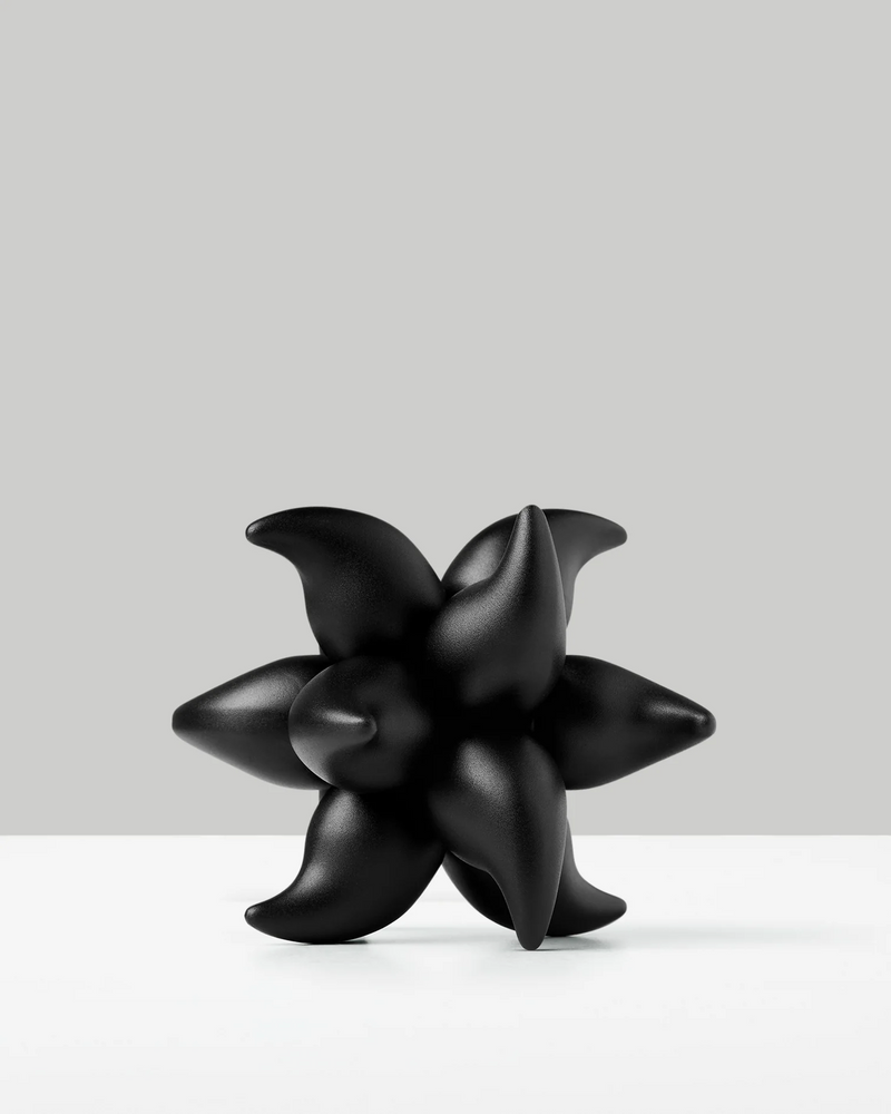 Craighill Andromeda Puzzle