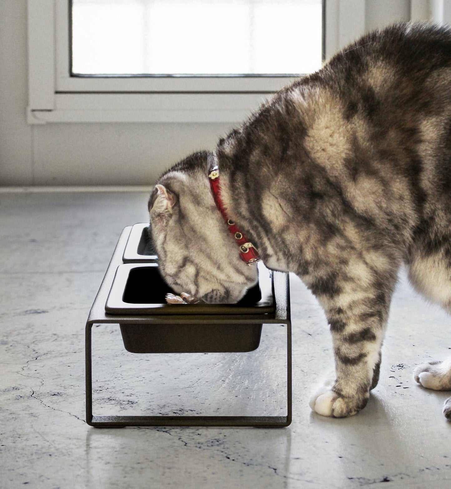 Yamazaki Home Pet Food Bowl - Tall