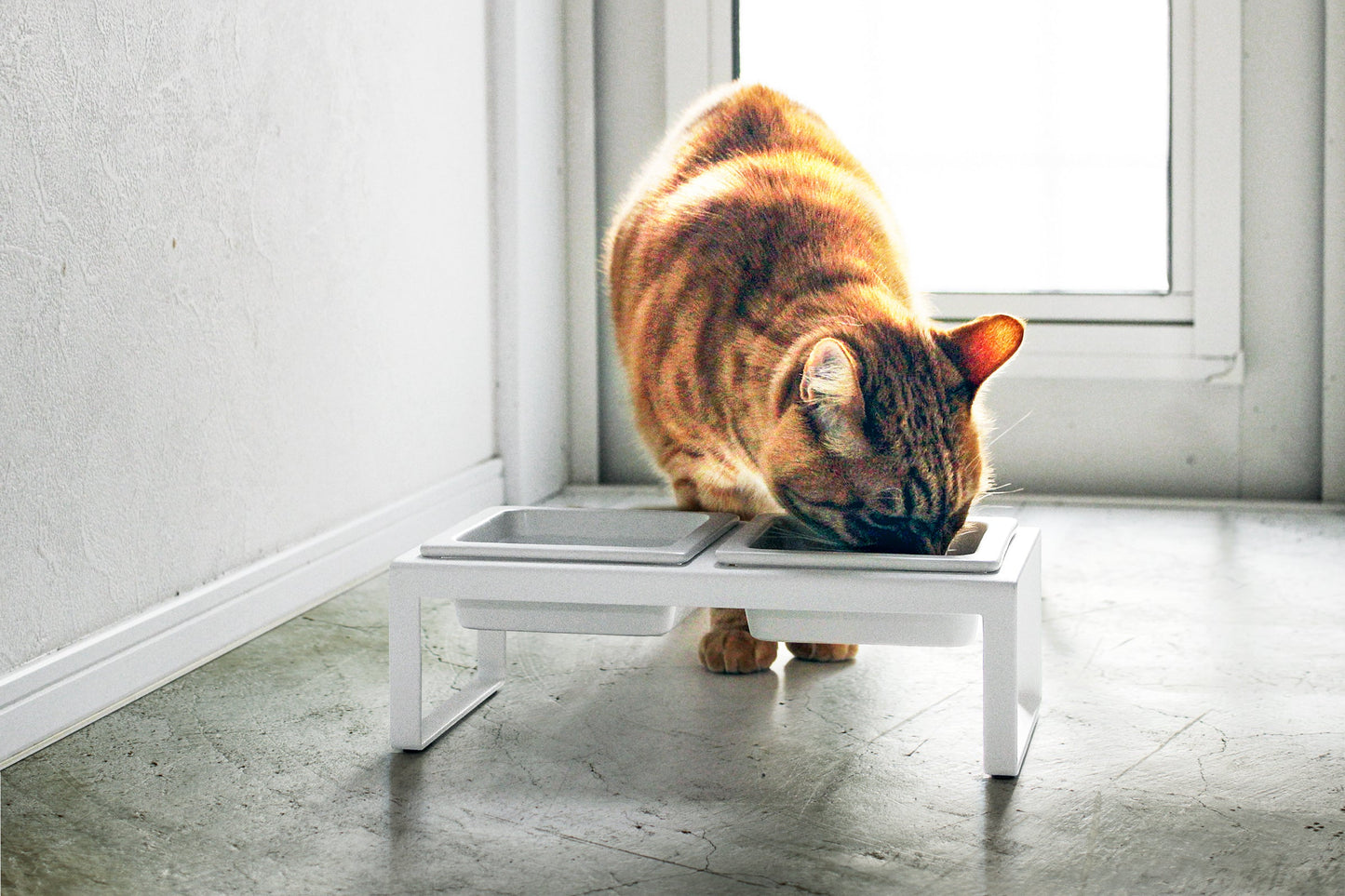 Yamazaki Home Pet Food Bowl - Tall