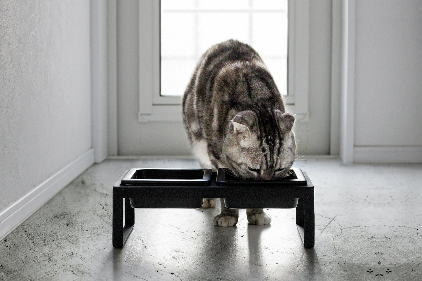 Yamazaki Home Pet Food Bowl - Tall
