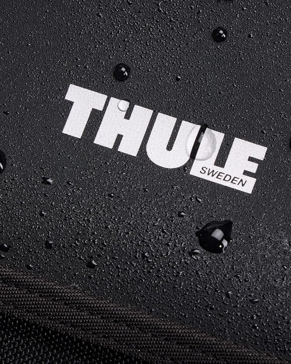 Thule Chasm Gear Tote 30L