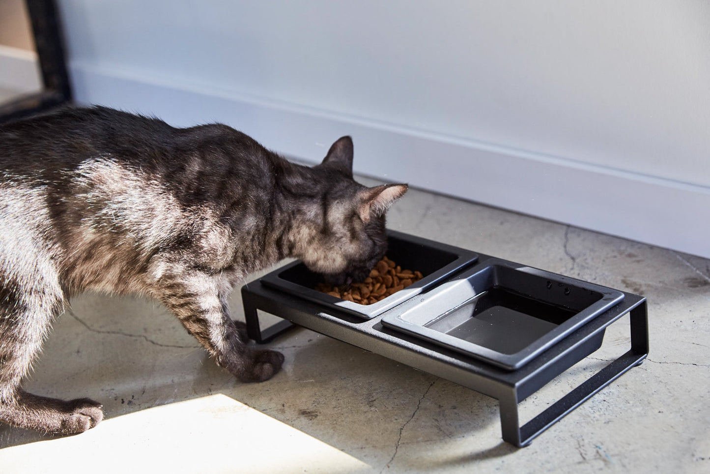 Yamazaki Home Pet Food Bowl