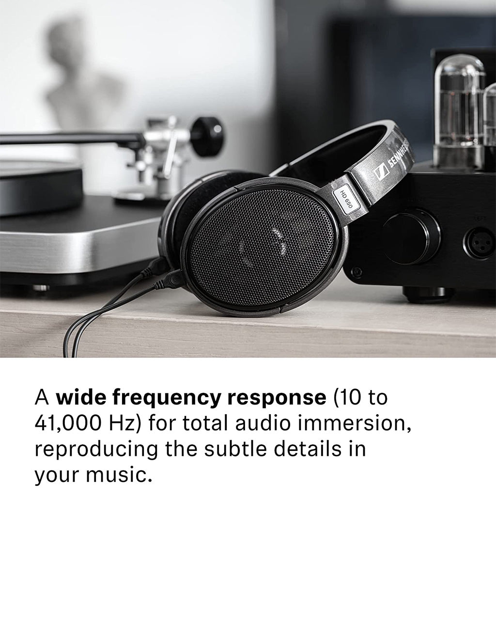 Sennheiser HD 650 Open Back Headphones