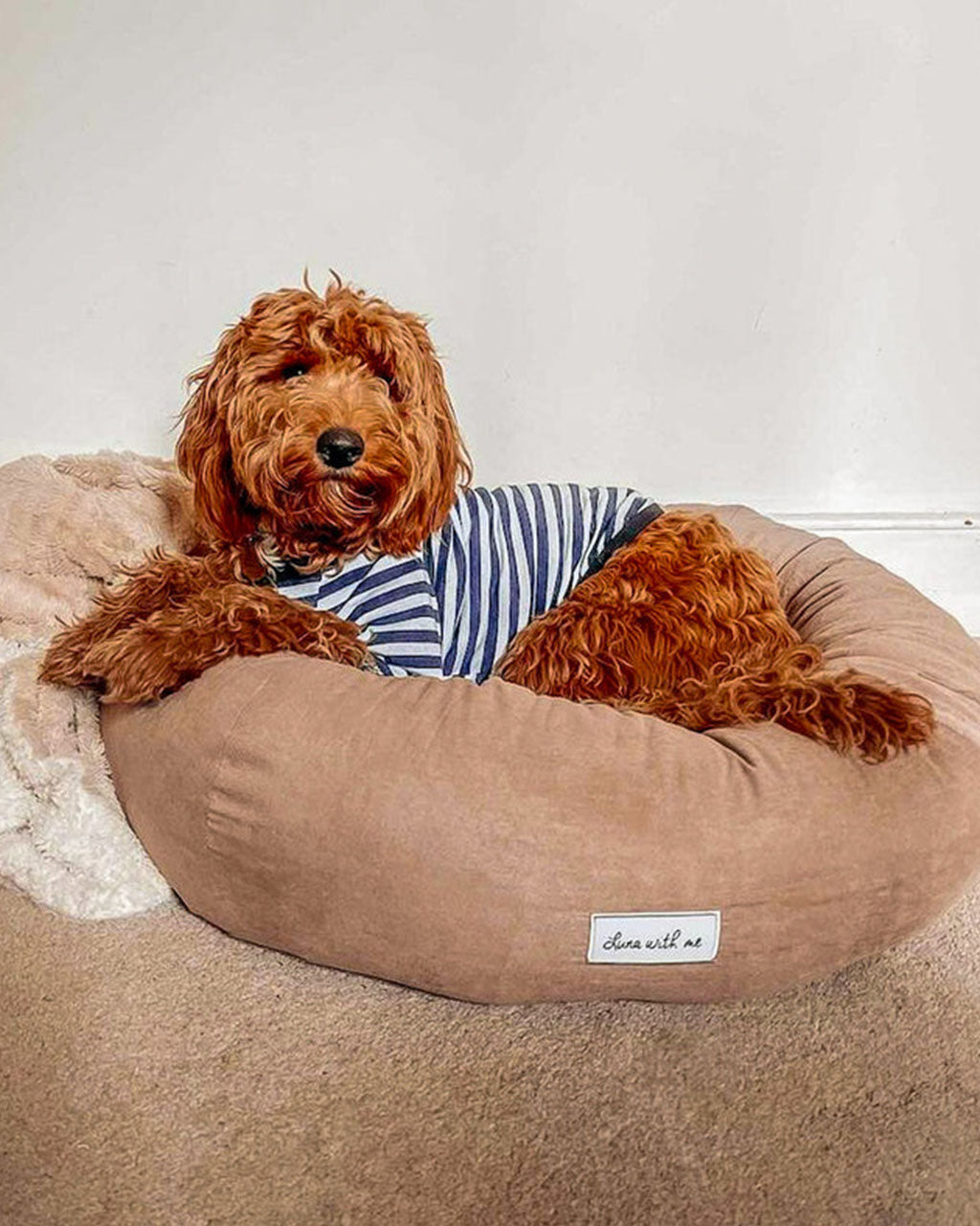 Luna With Me Donut Dog Bed - Beige