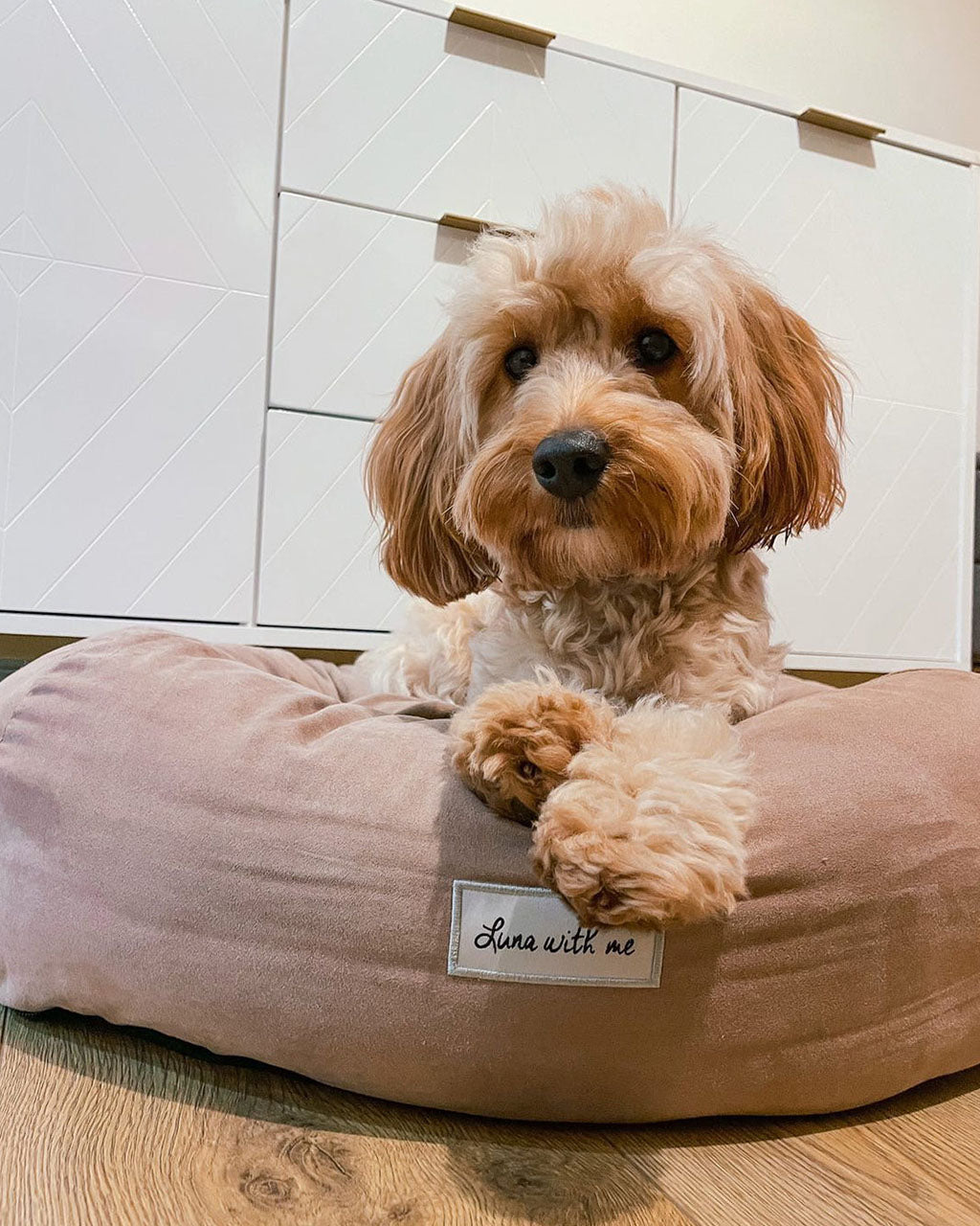 Luna With Me Donut Dog Bed - Beige