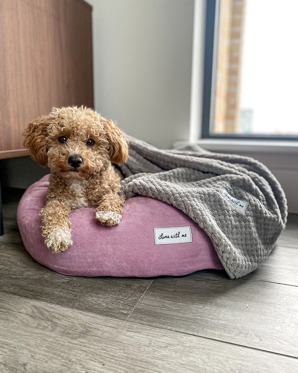 Luna With Me Donut Dog Bed - Mauve