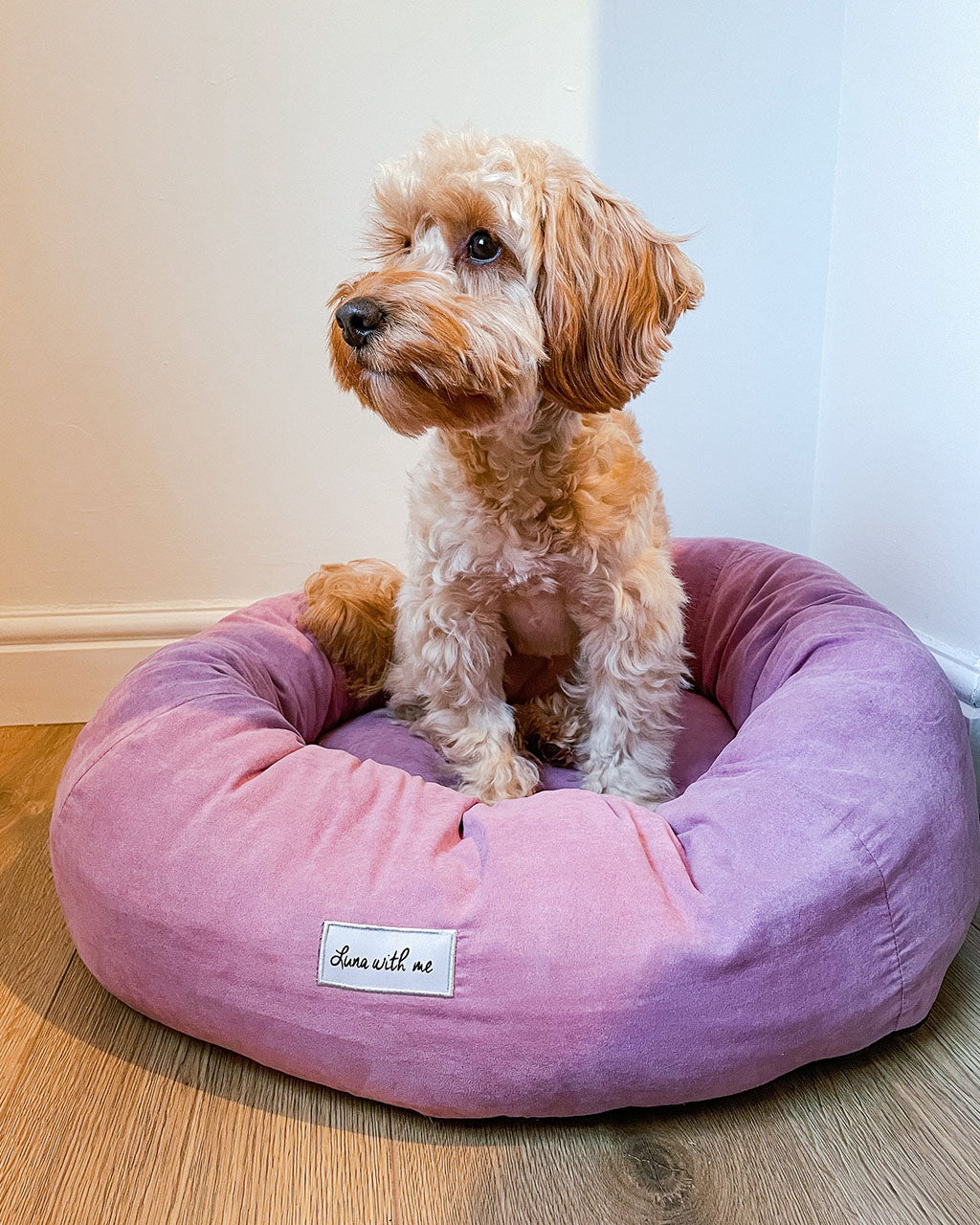 Luna With Me Donut Dog Bed - Mauve