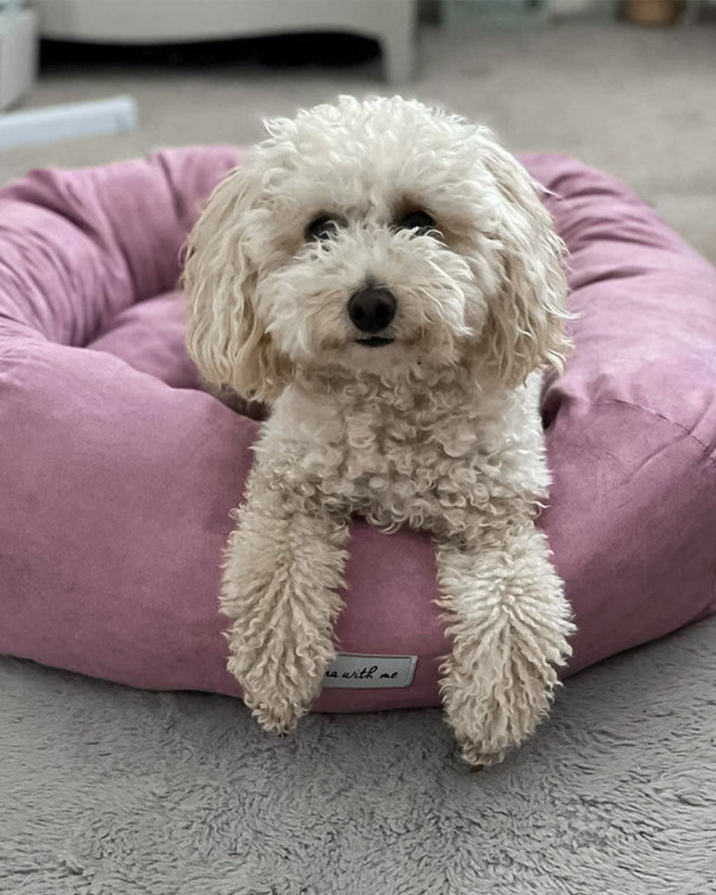 Luna With Me Donut Dog Bed - Mauve