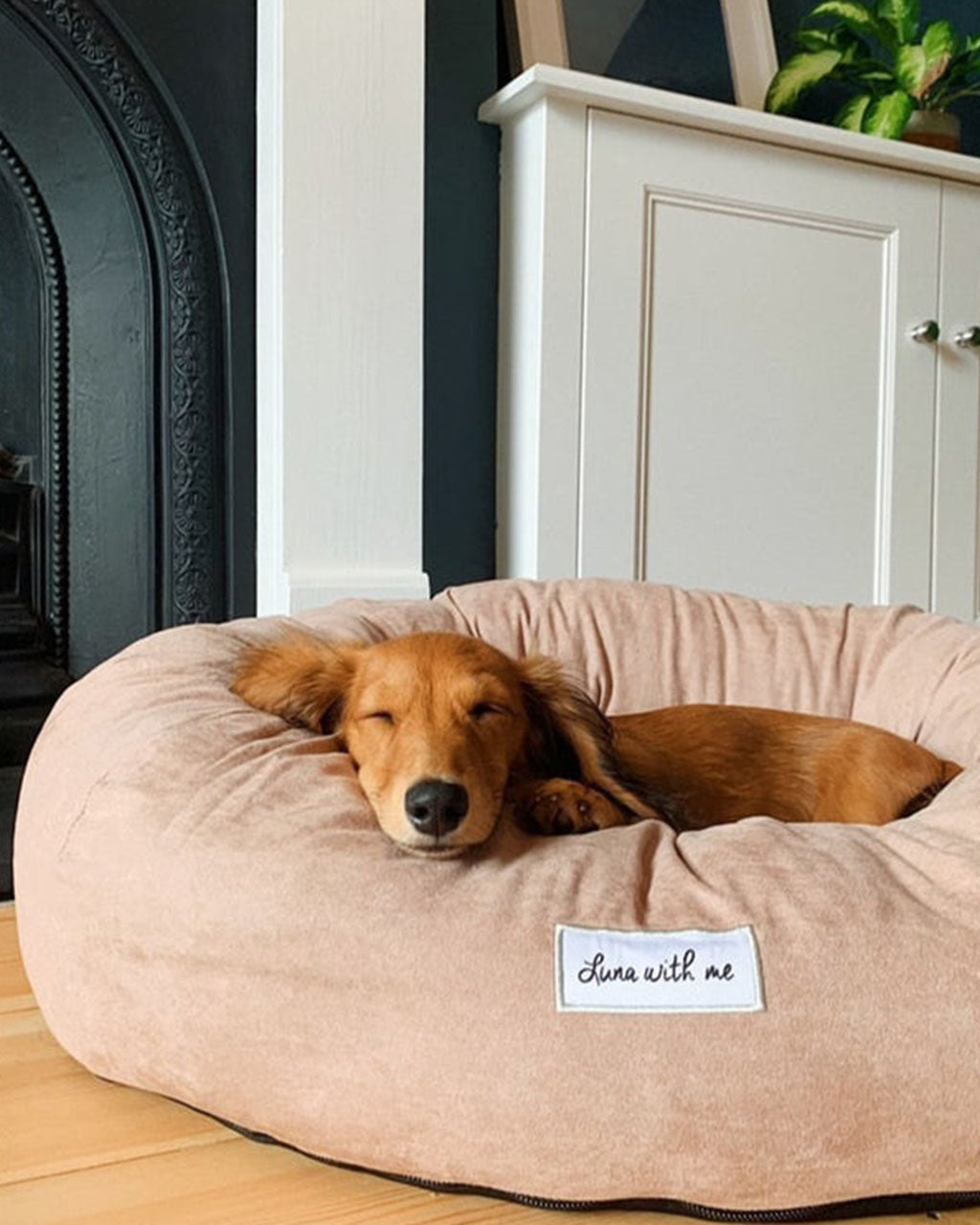 Luna With Me Donut Dog Bed - Beige